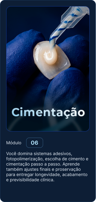 6_1x-8.webp